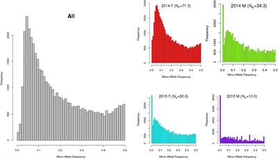 Developing Successful Breeding Programs for New Zealand Aquaculture: A Perspective on Progress and Future Genomic Opportunities